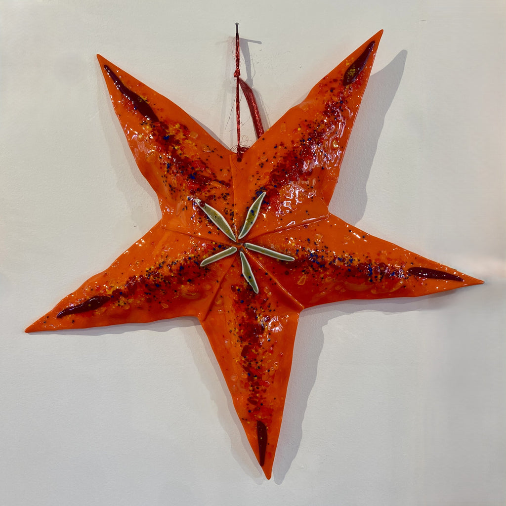 Big Starfish