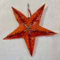 Big Starfish