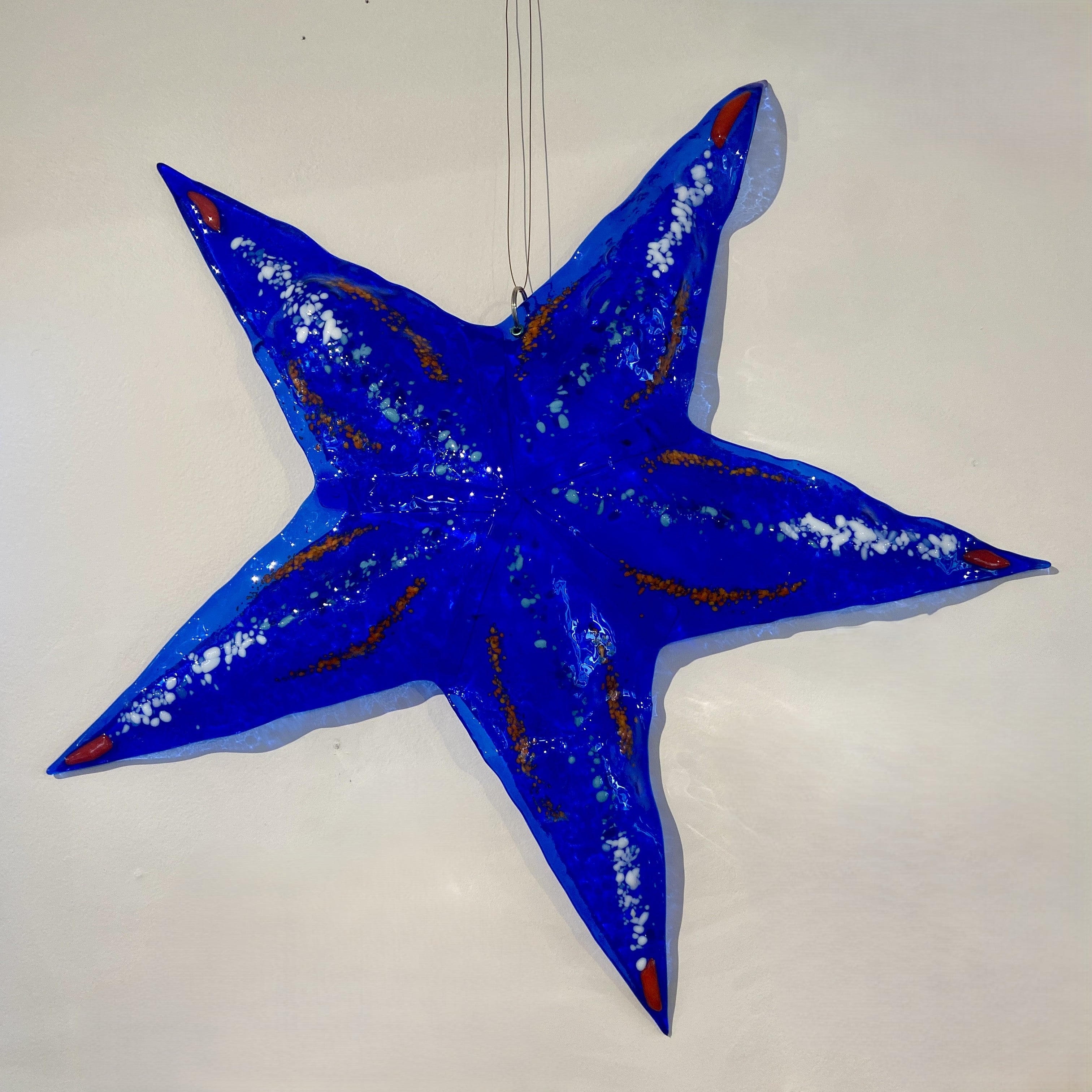 Big Starfish
