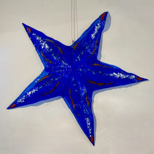 Big Starfish
