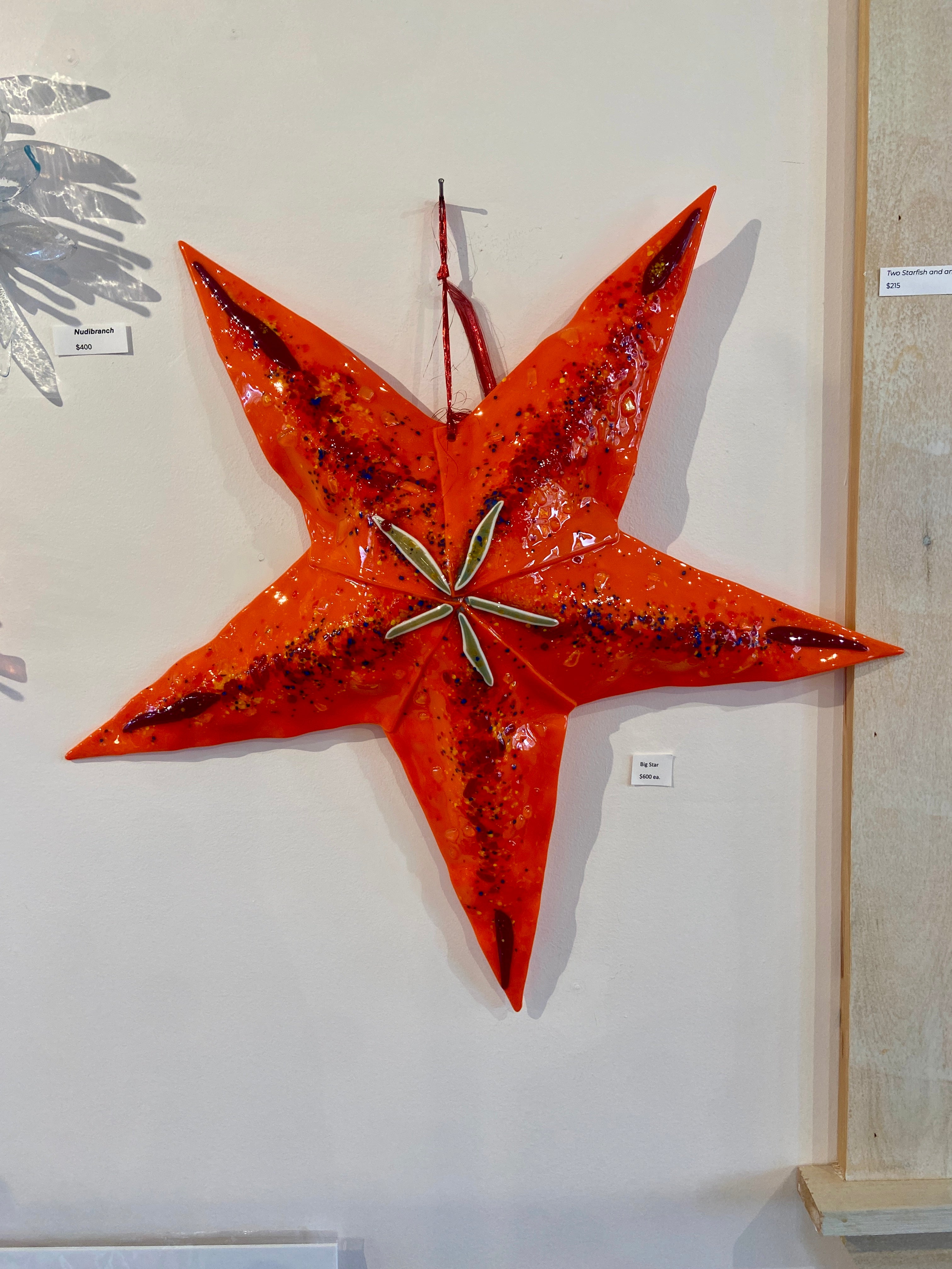 Big Starfish