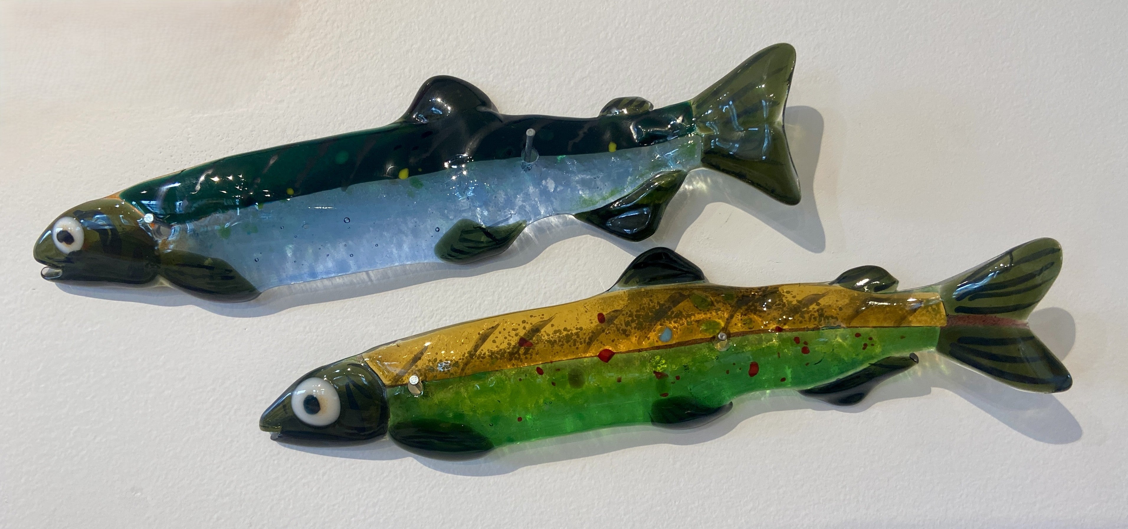 Capelin