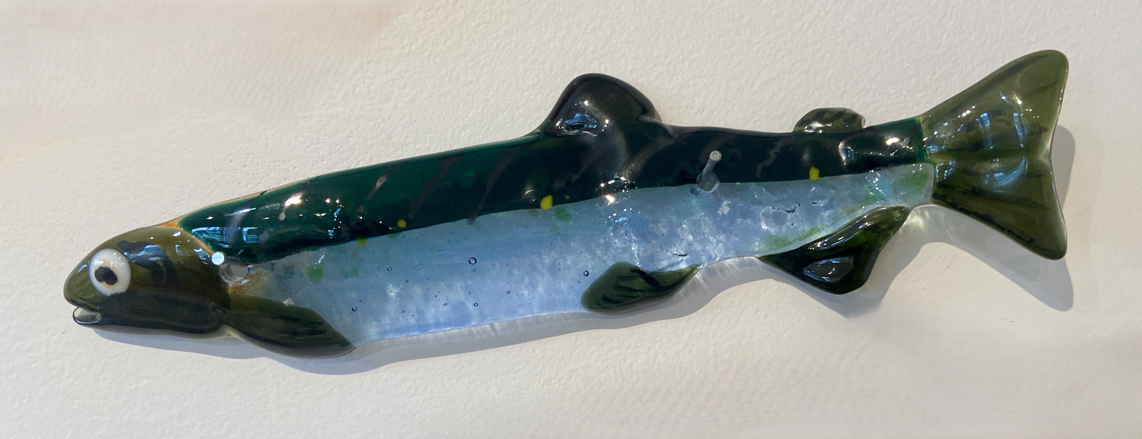 Capelin