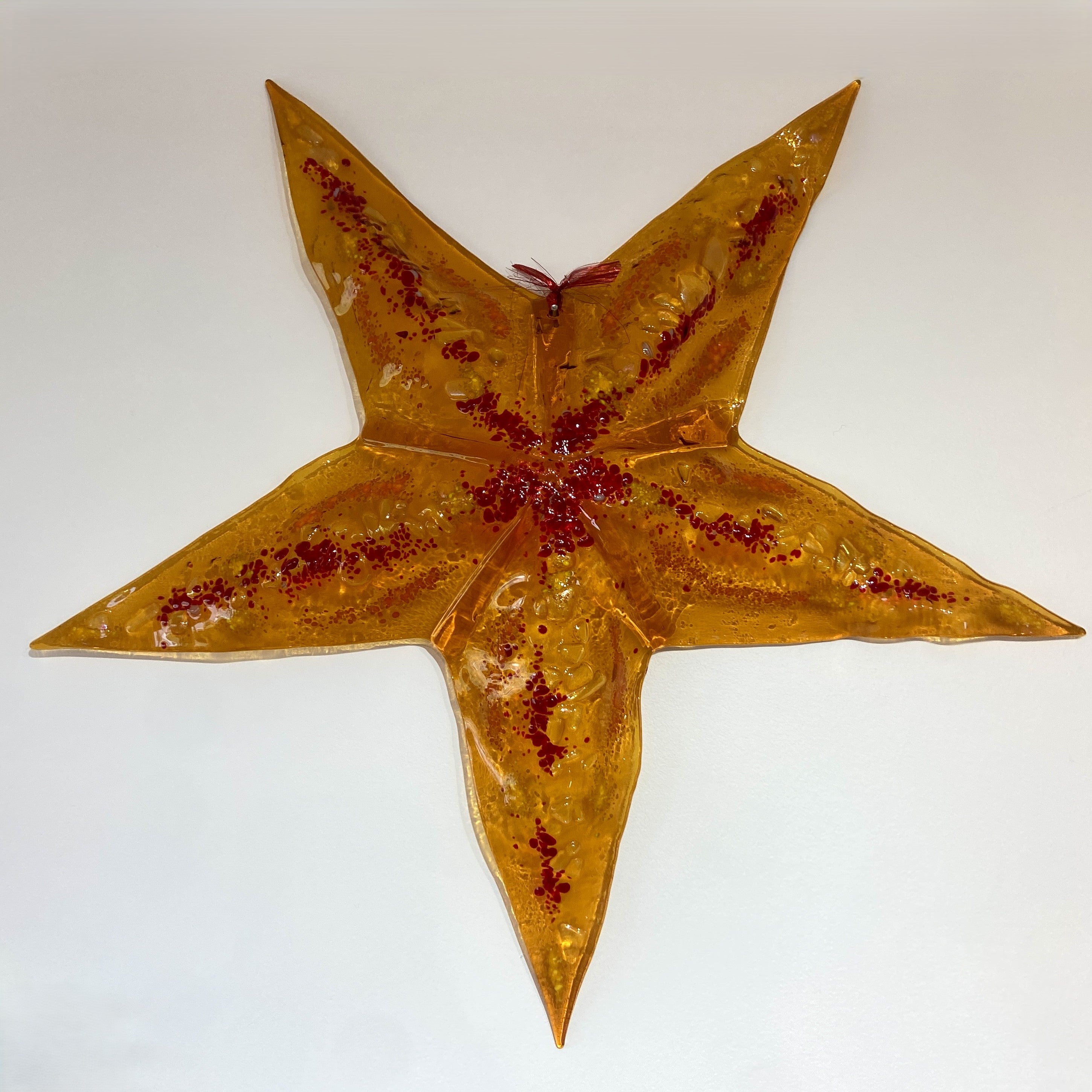 Big Starfish