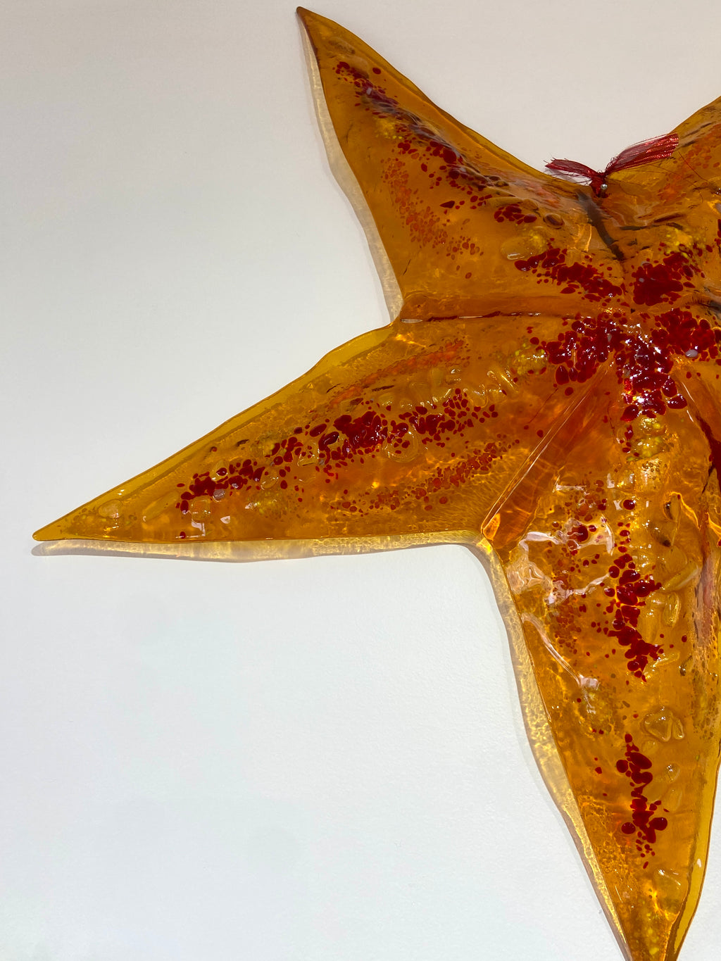 Big Starfish