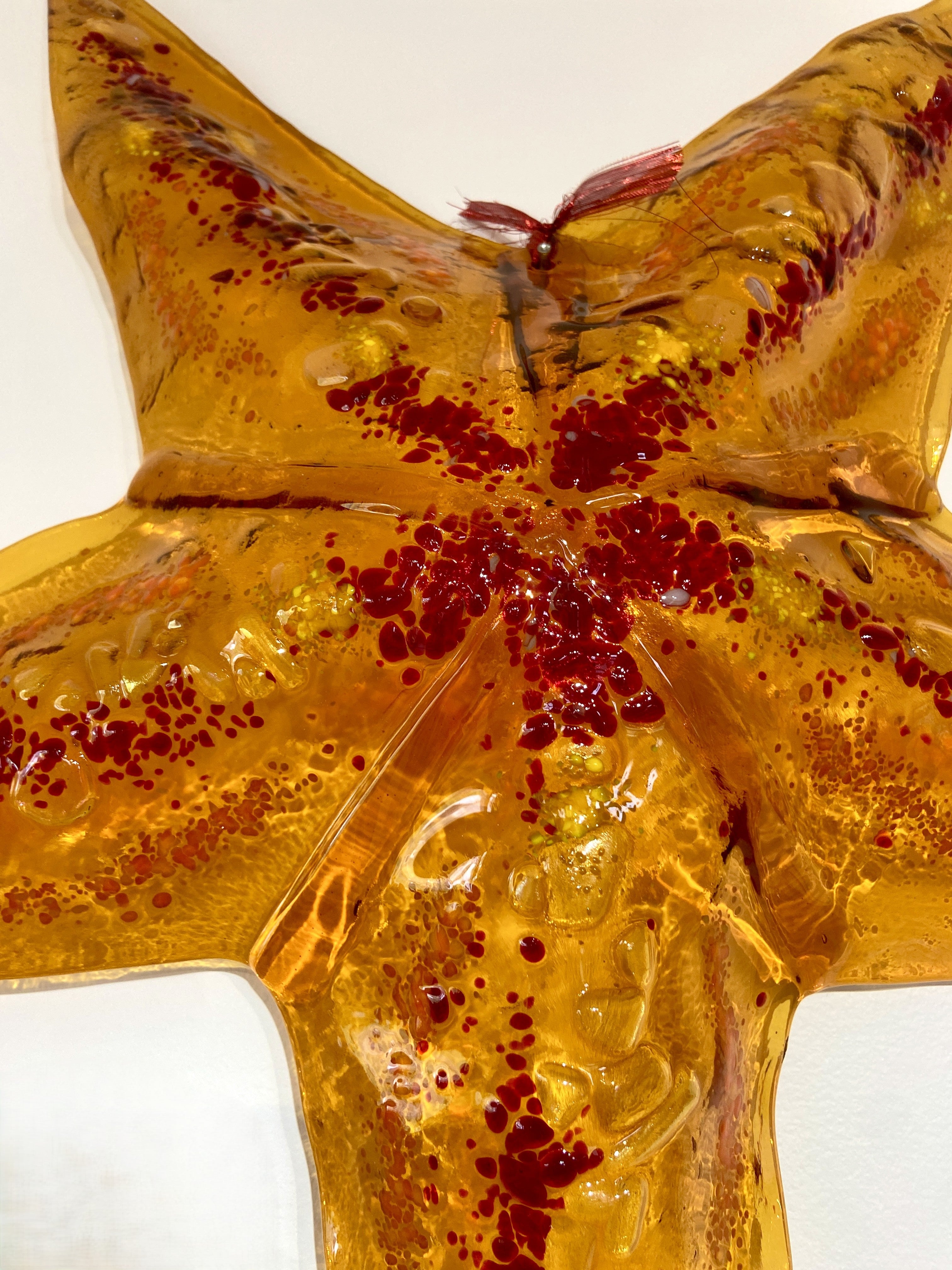 Big Starfish