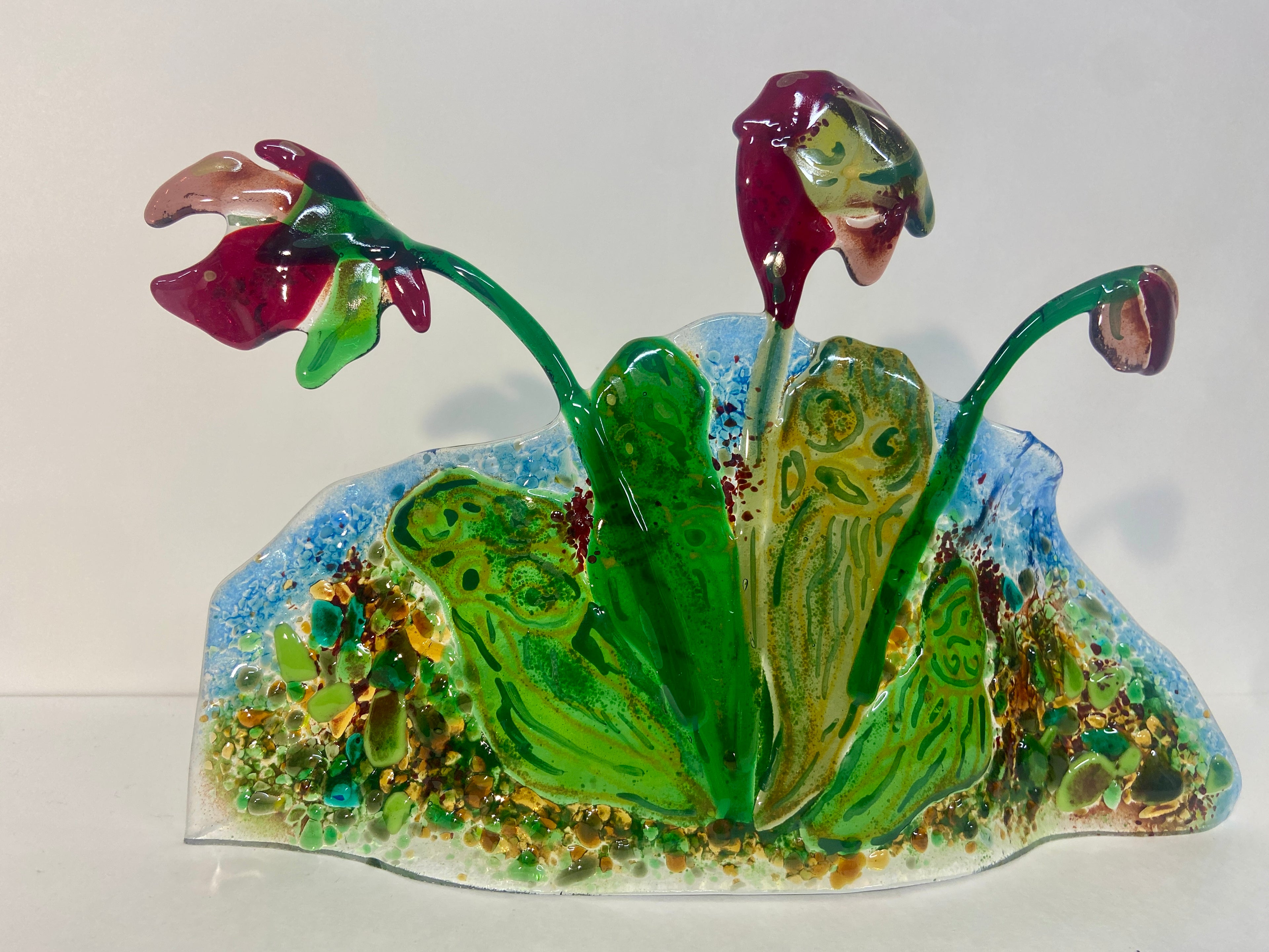 Pitcher Plants