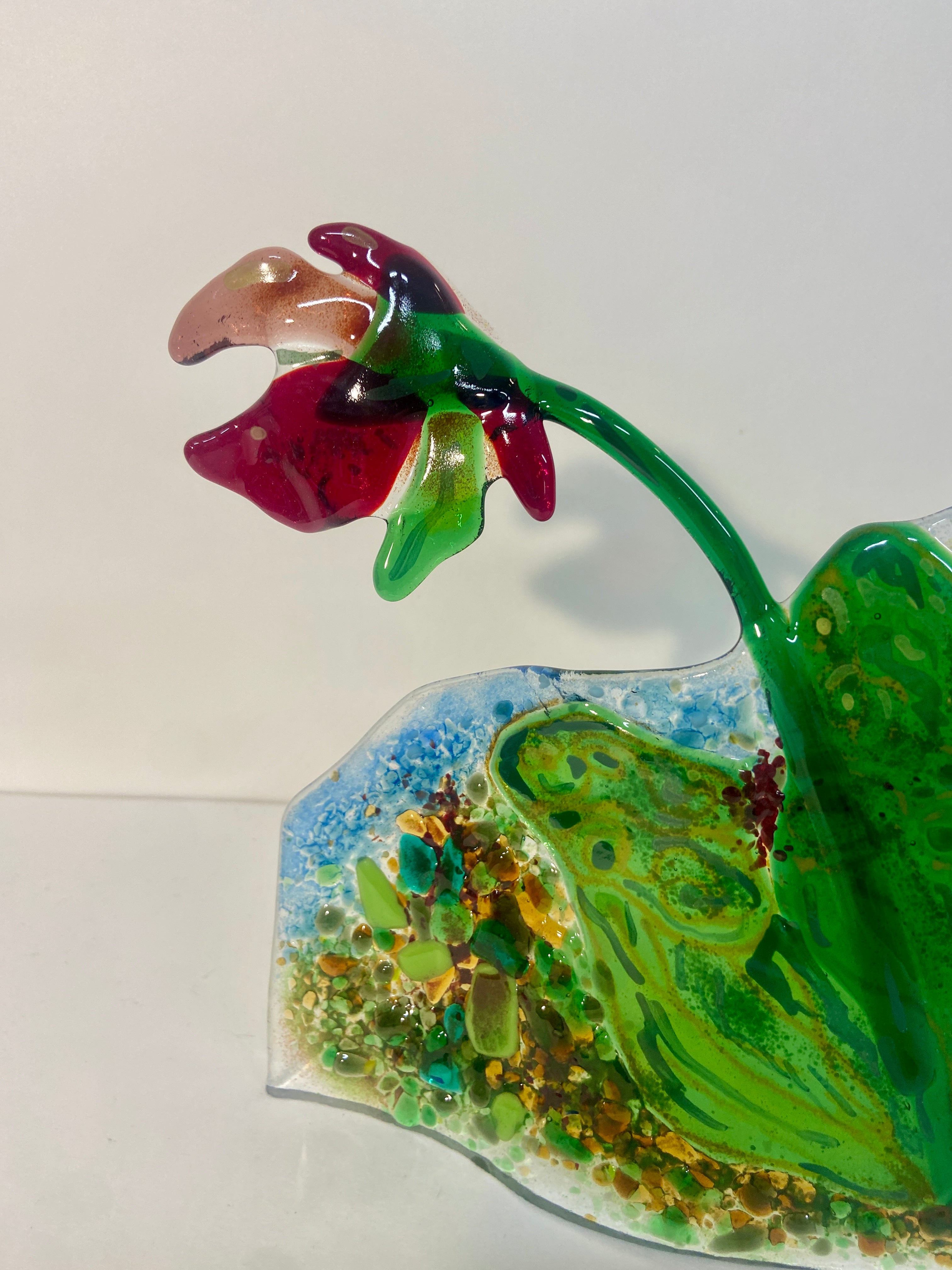 Pitcher Plants