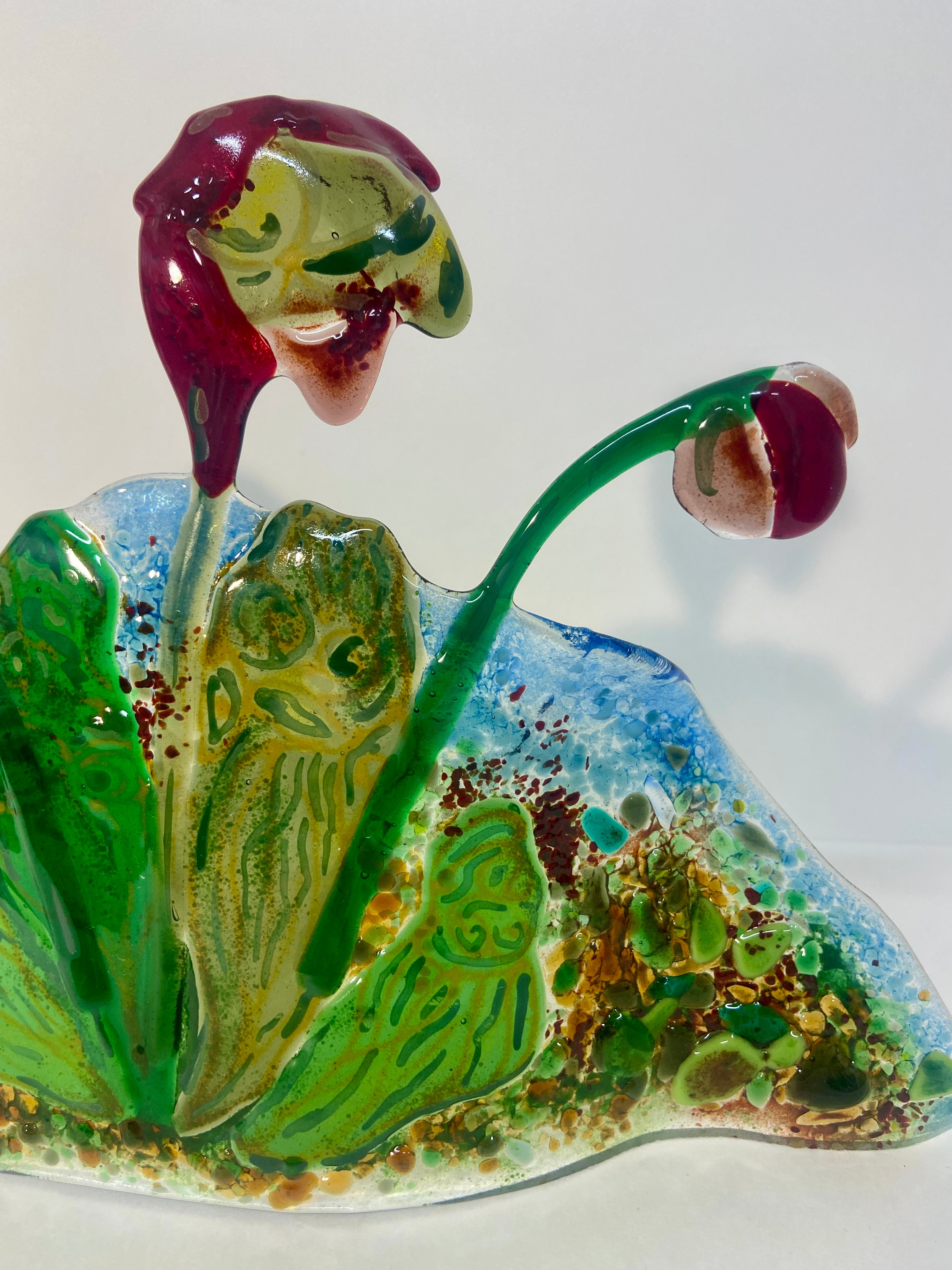 Pitcher Plants