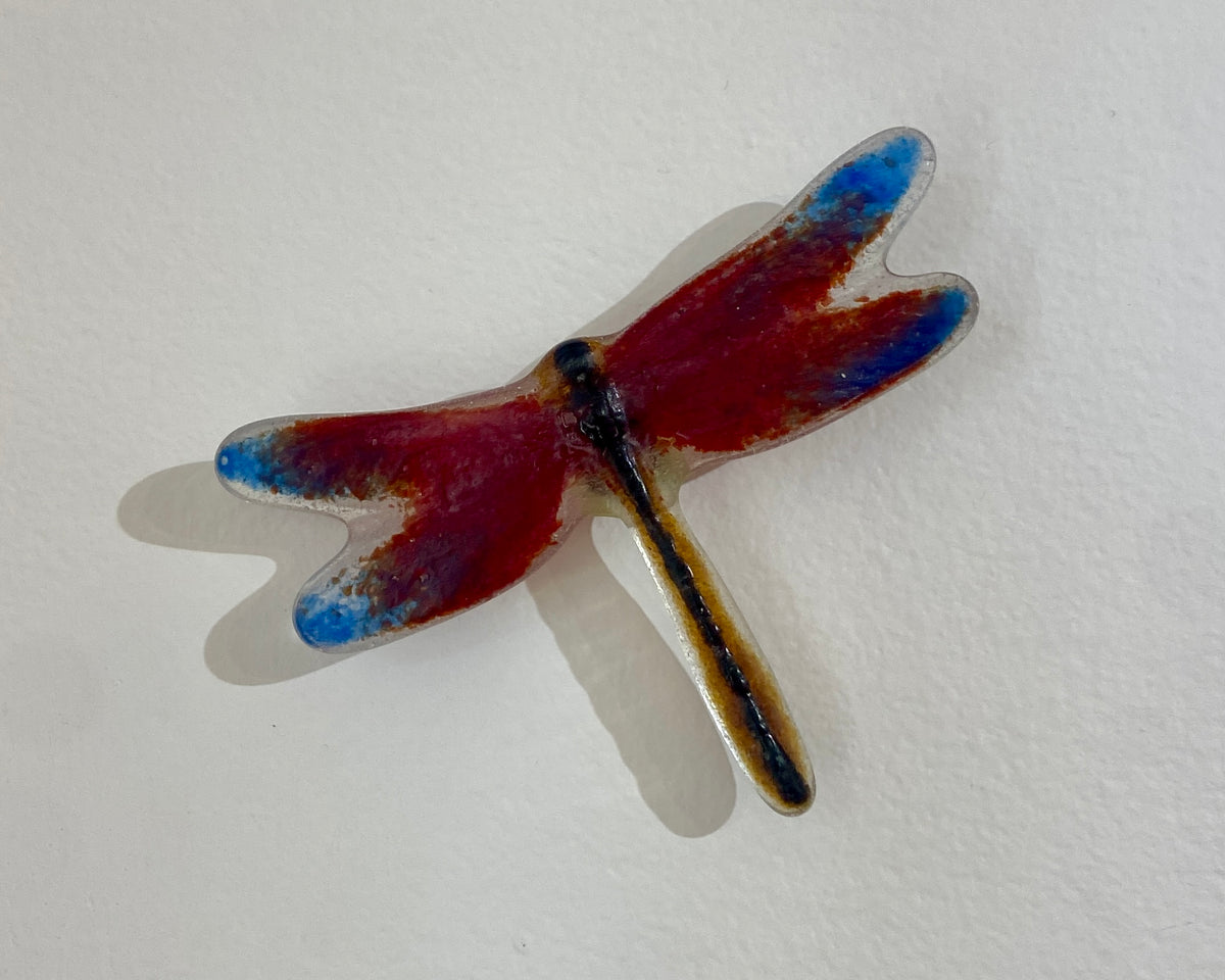 Dragonflies
