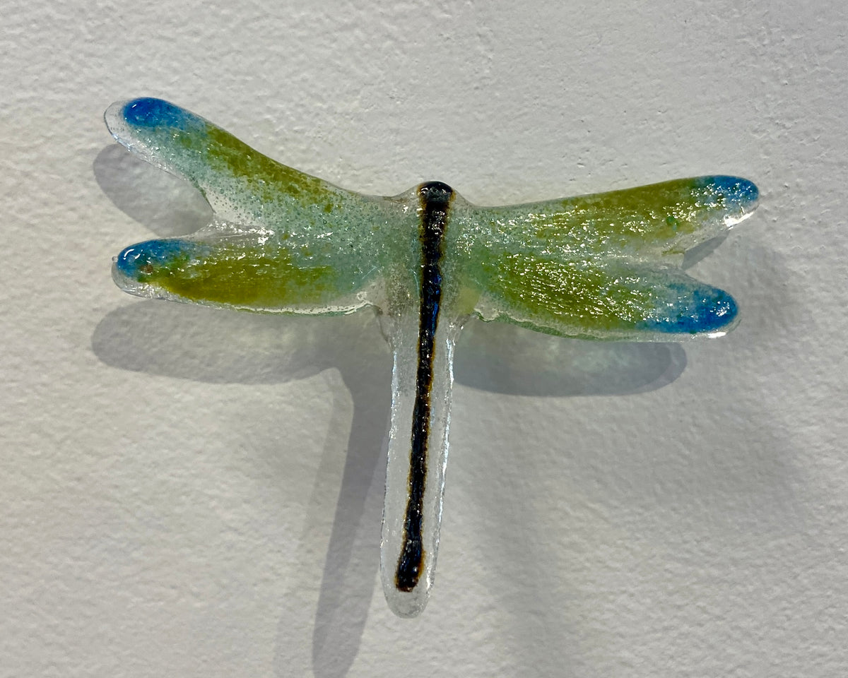 Dragonflies