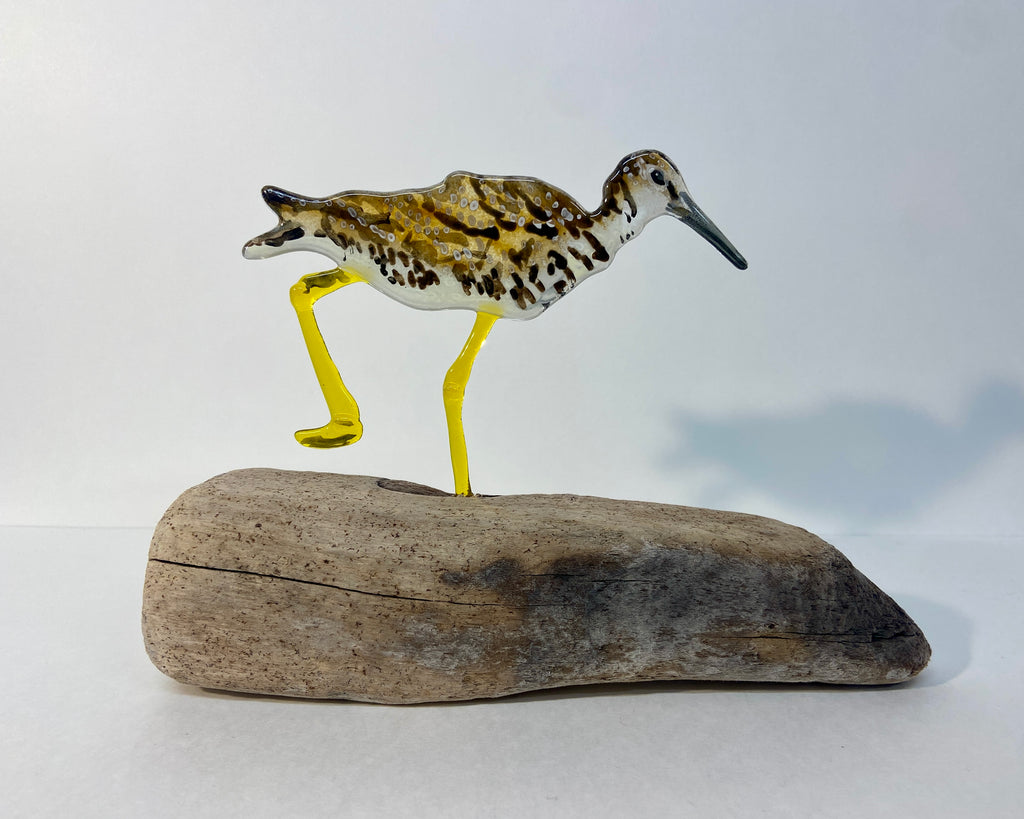 Greater Yellow Legs