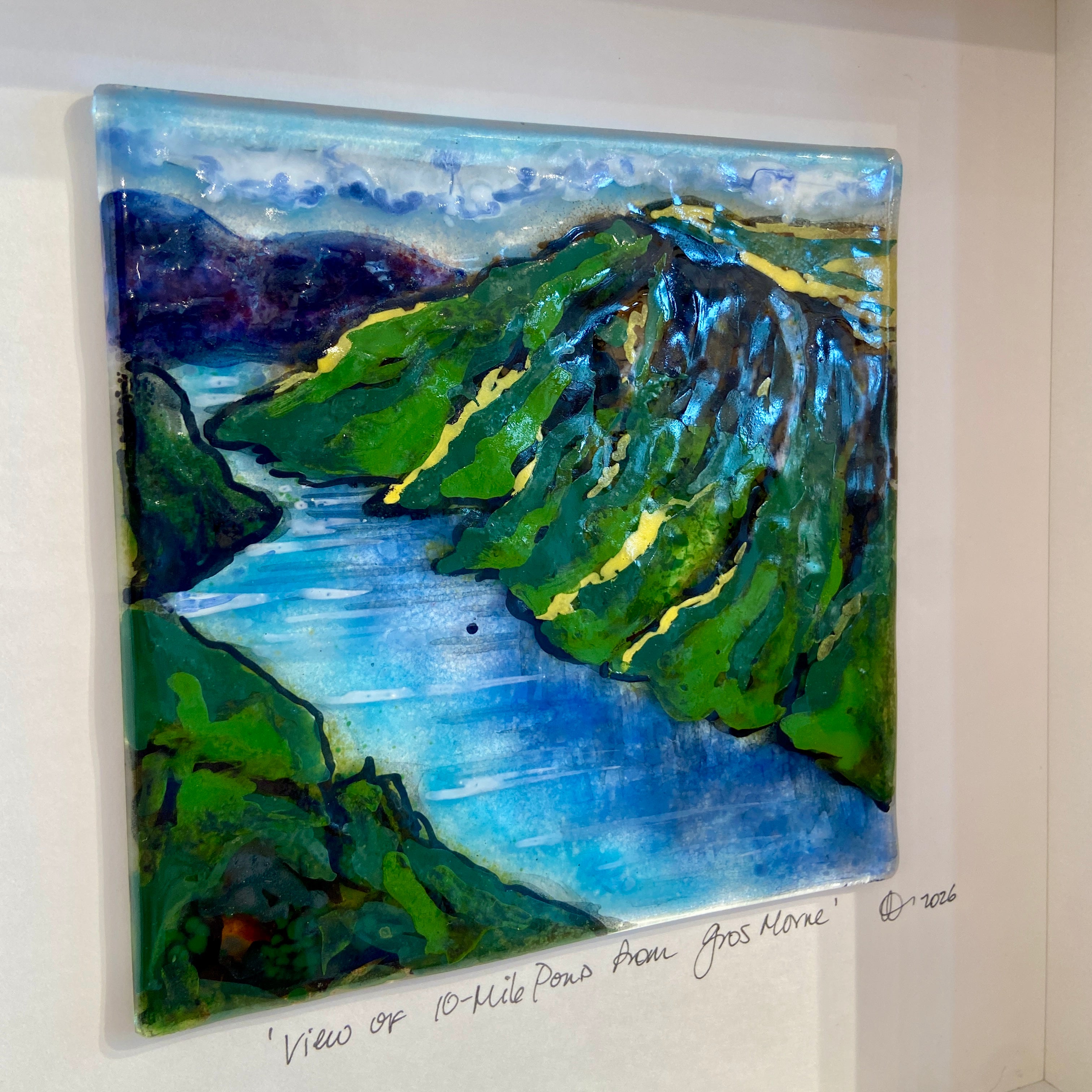 View of 10 Mile Pond from Gros Morne