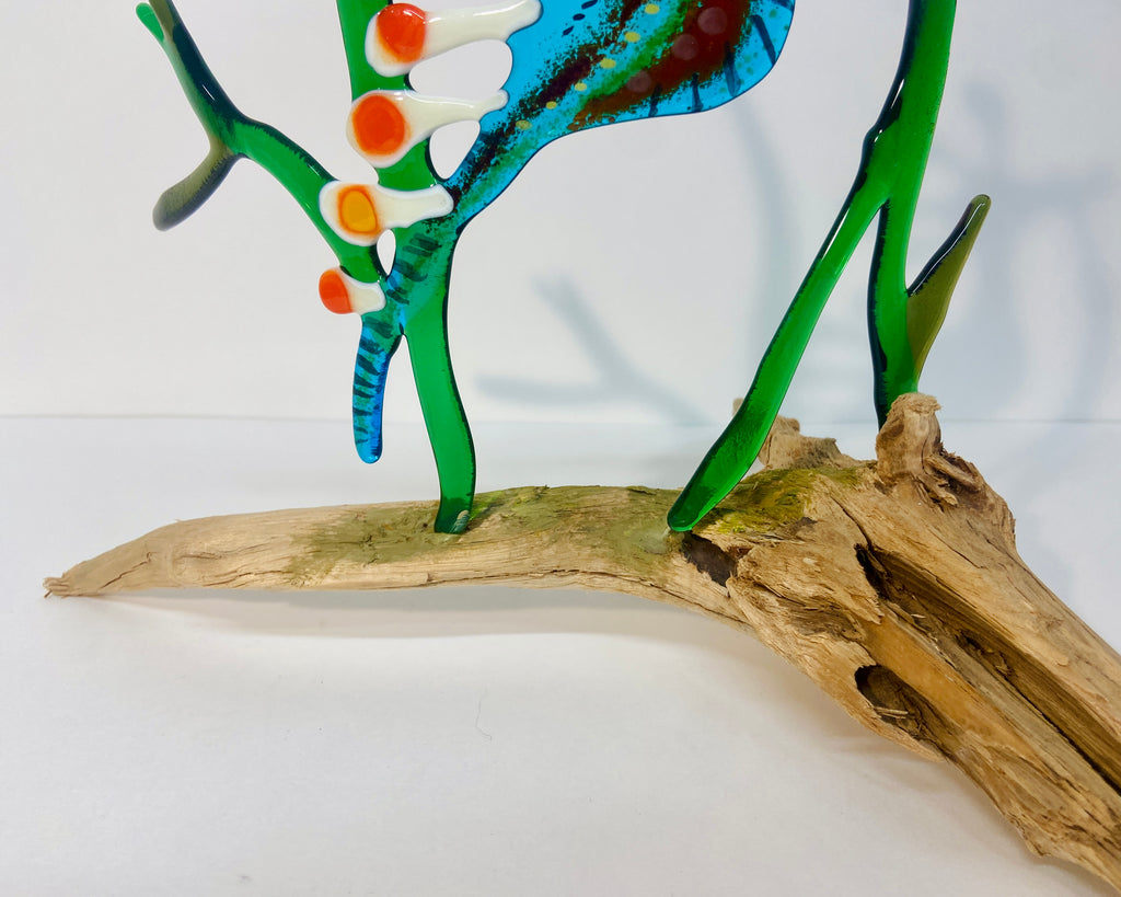 Sea-Dragon
