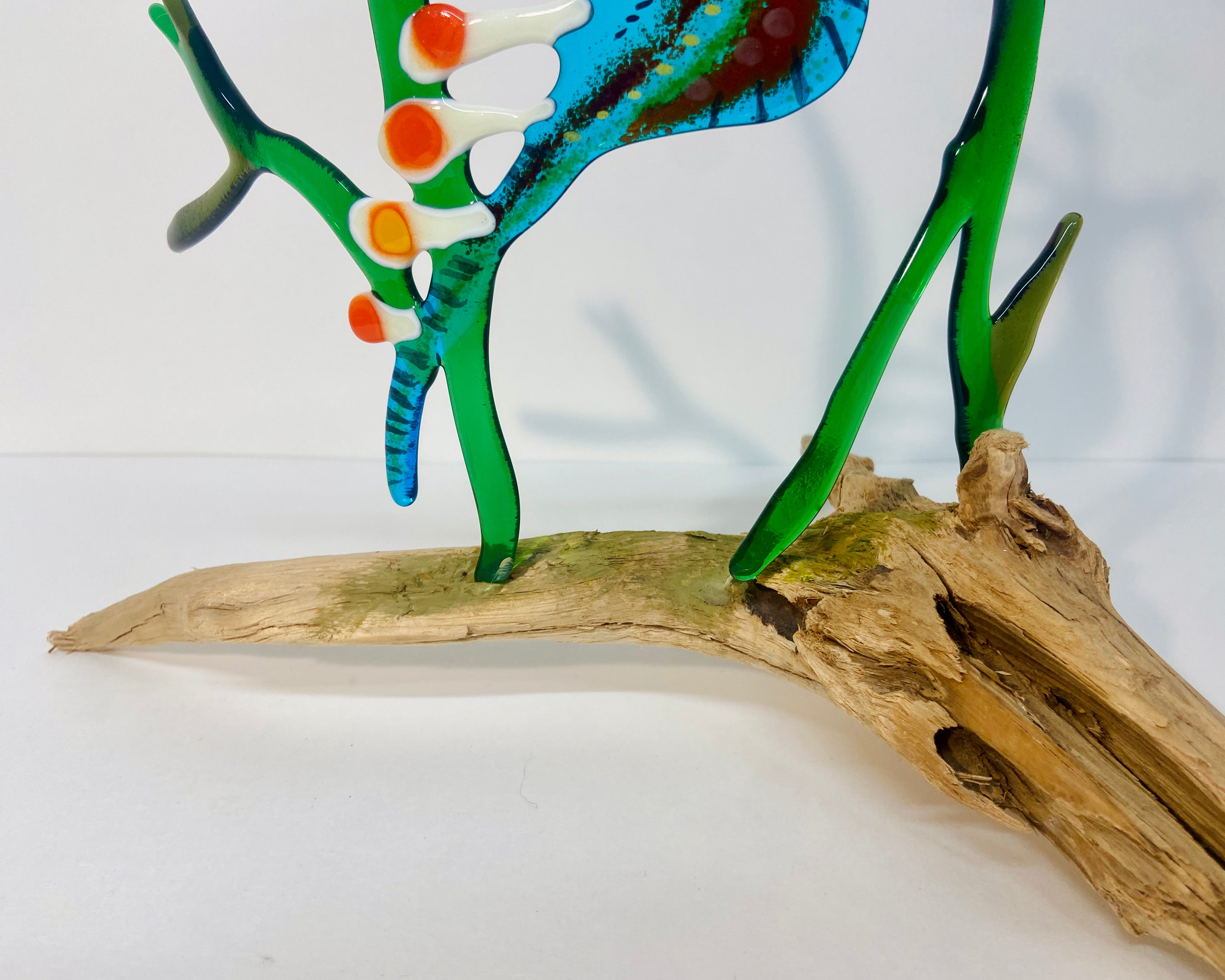 Sea-Dragon