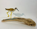 Greater Yellow Legs