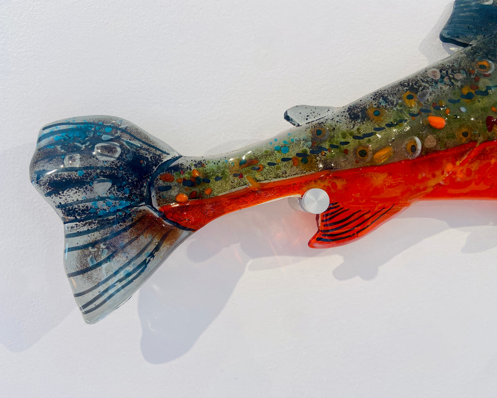 Arctic Char II