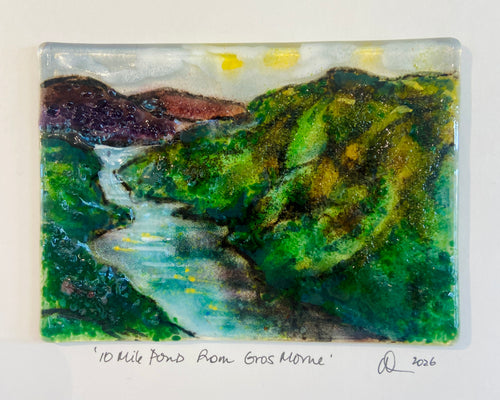 10 Mile Pond from Gros Morne