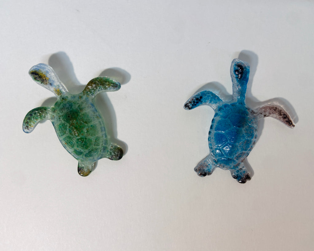 Sea Turtles