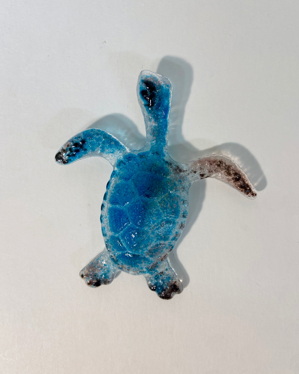 Sea Turtles