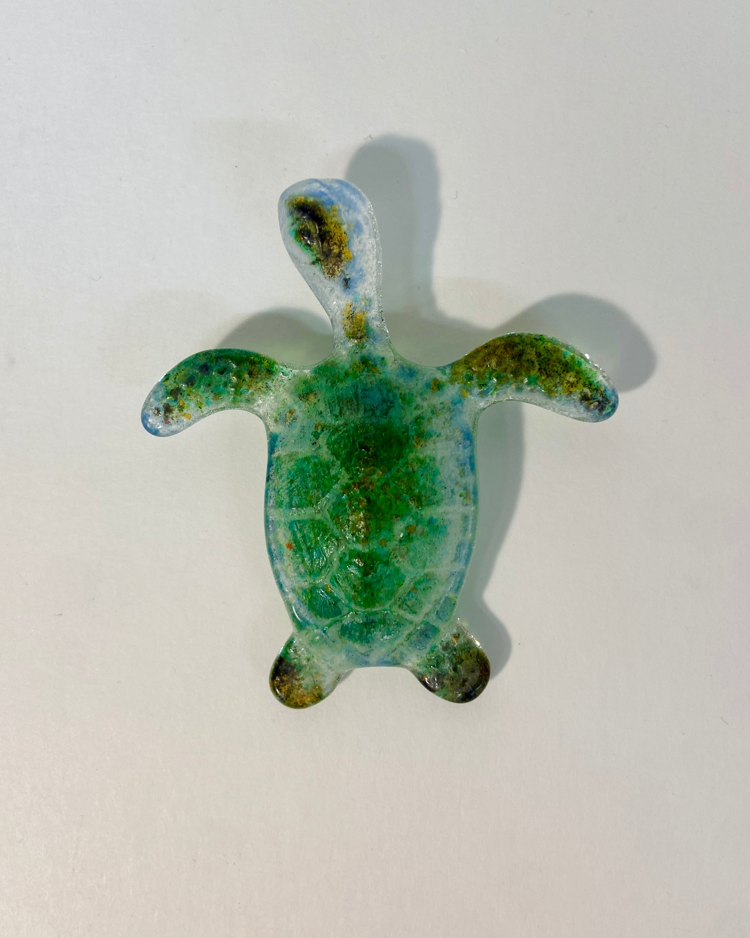 Sea Turtles