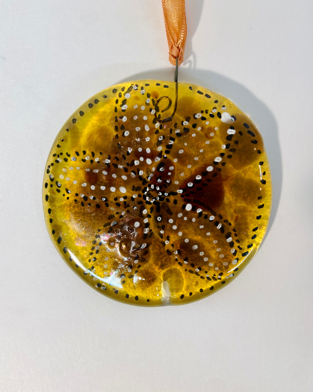 Sand Dollar