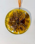Sand Dollar