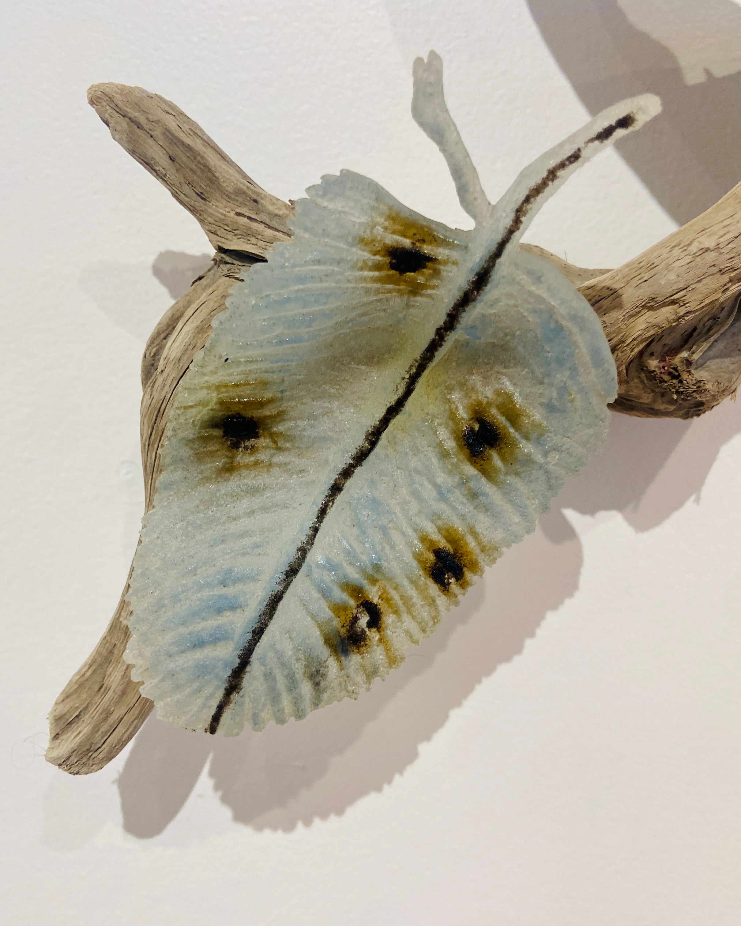 Foggy Morning