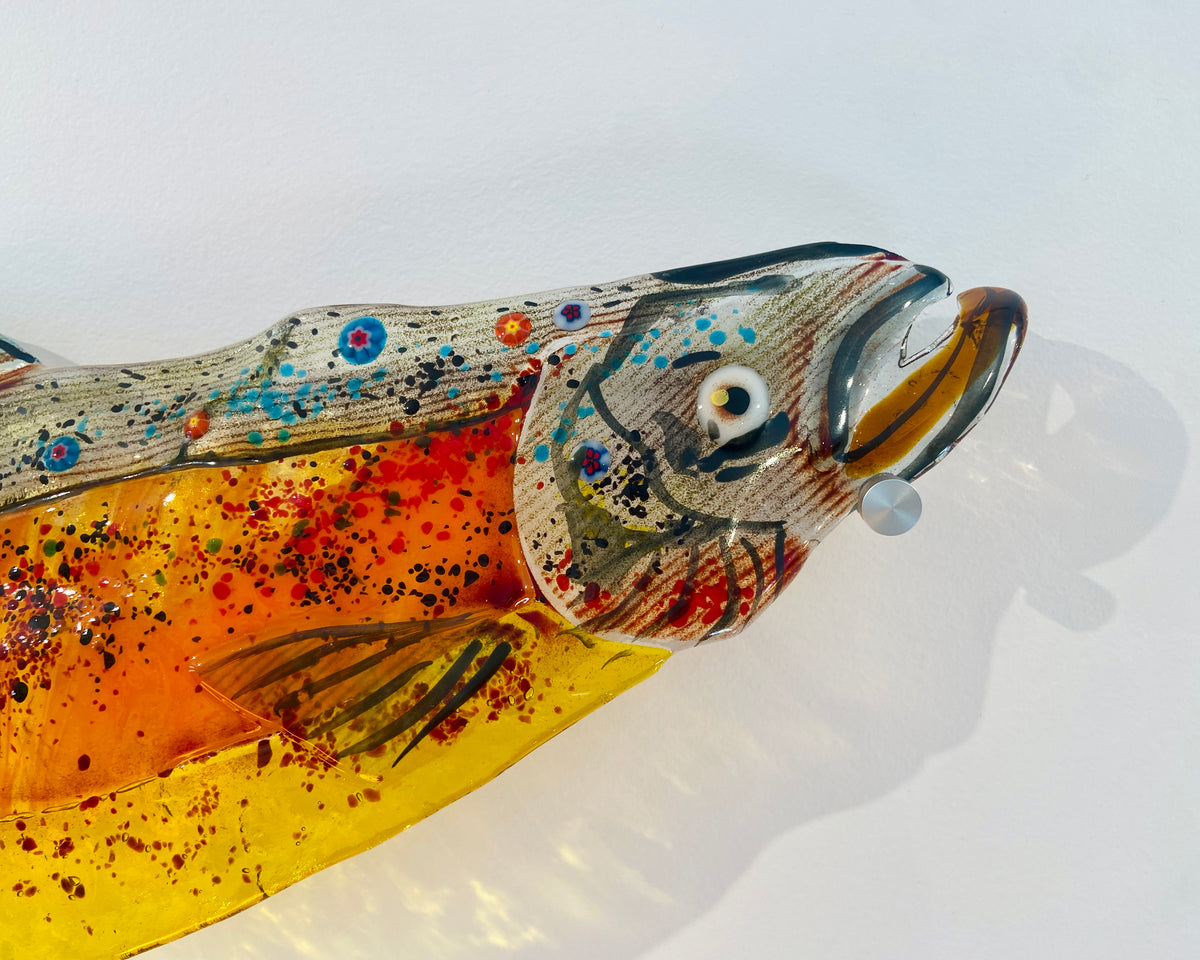 Arctic Char I