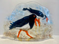 Oyster Catcher Parade