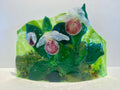 Showy Lady-Slipper