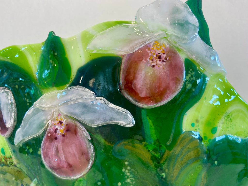 Showy Lady-Slipper