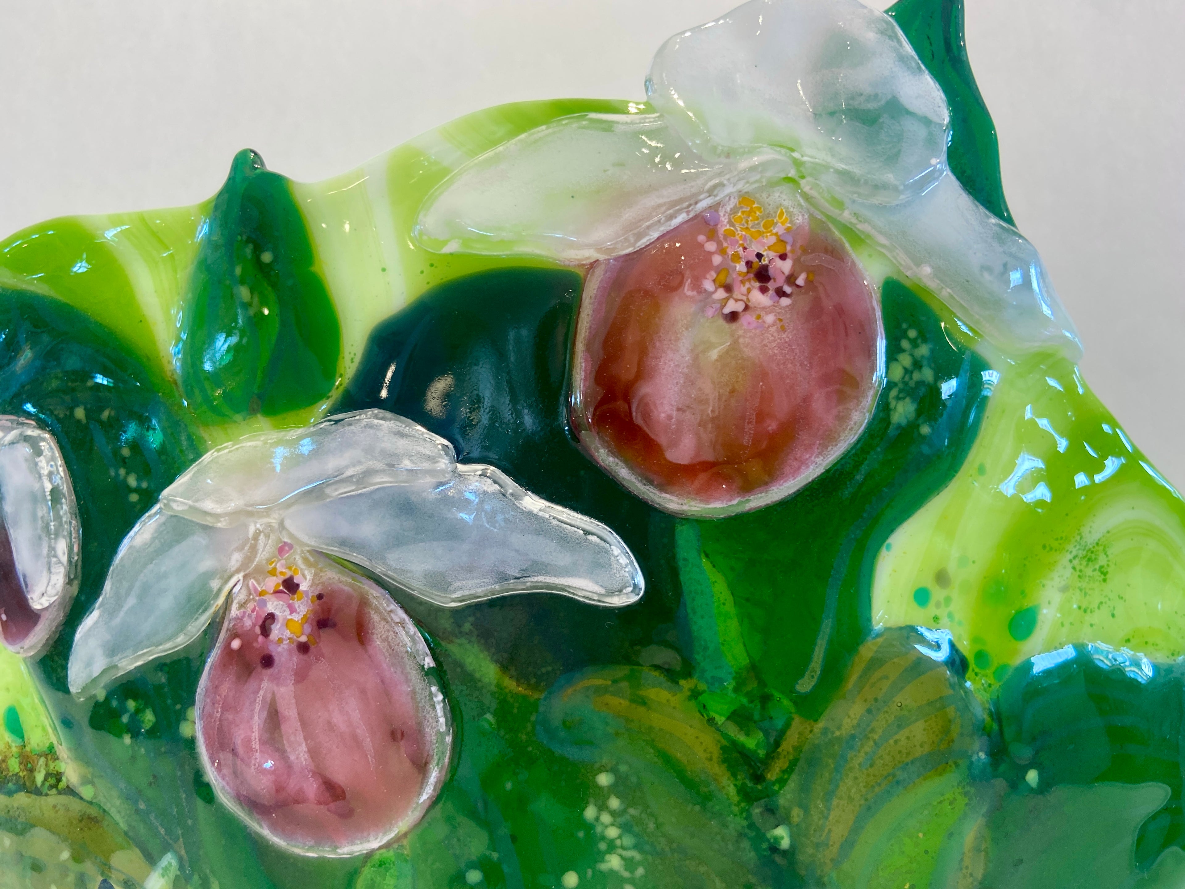 Showy Lady-Slipper