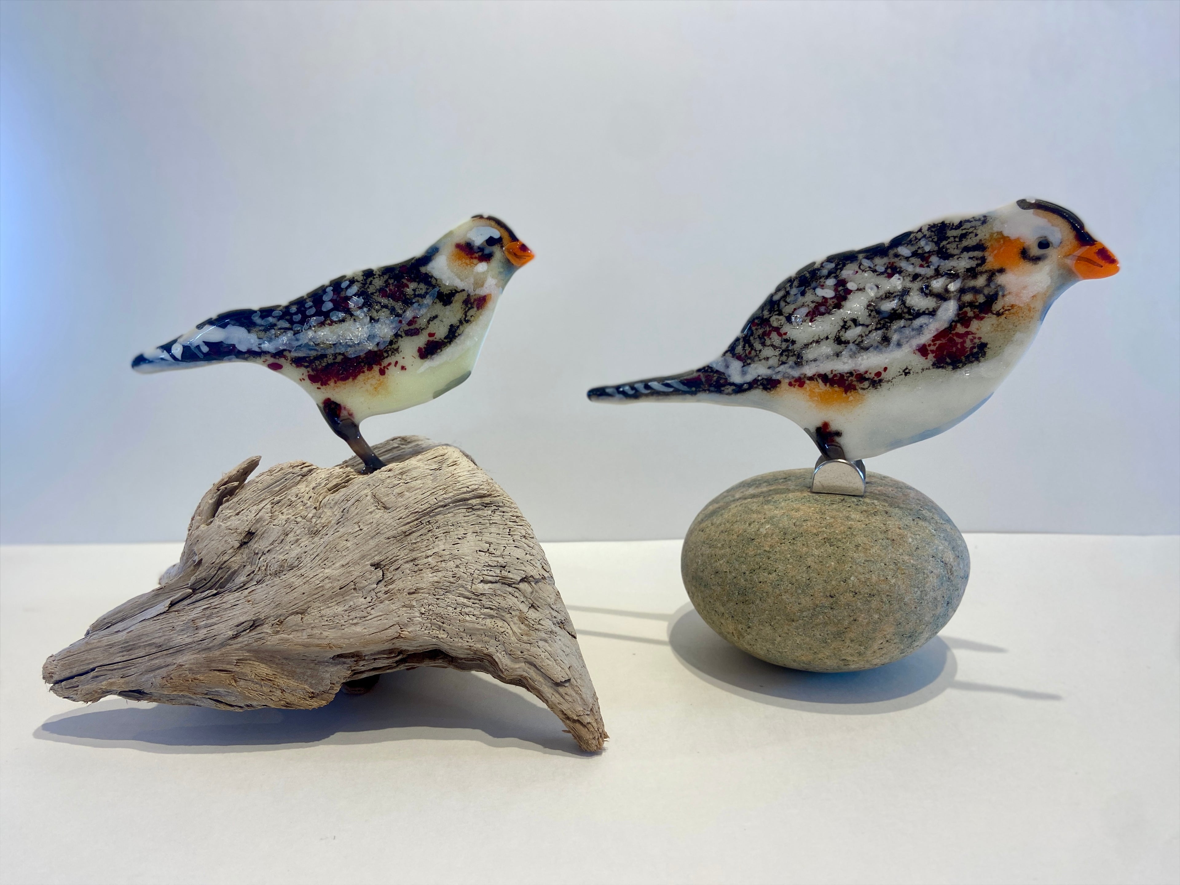 Snowbunting