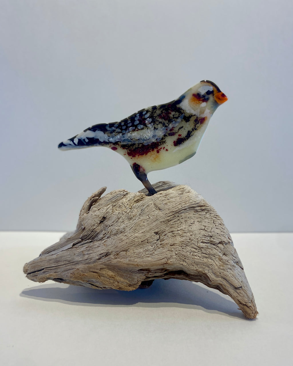 Snowbunting