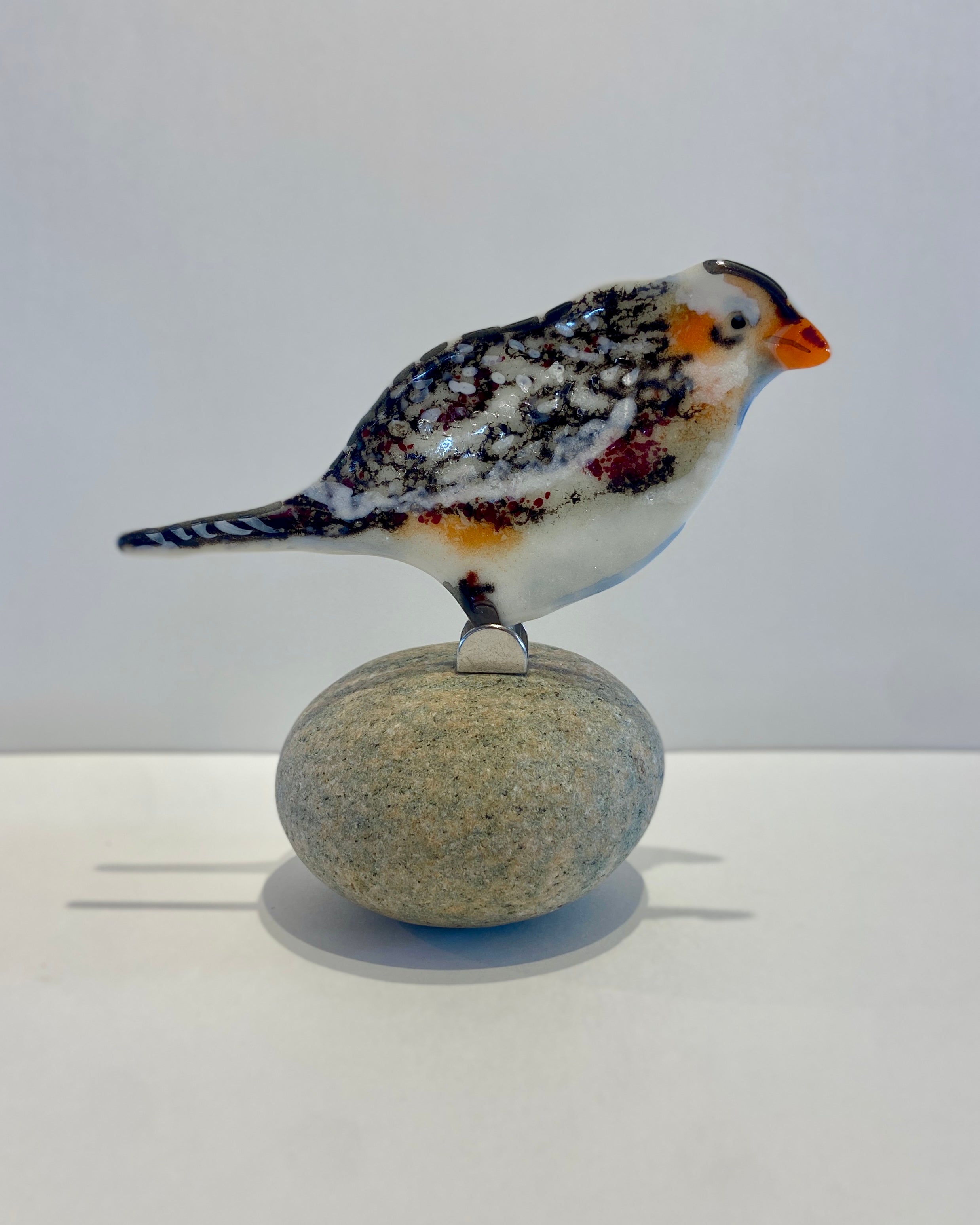 Snowbunting