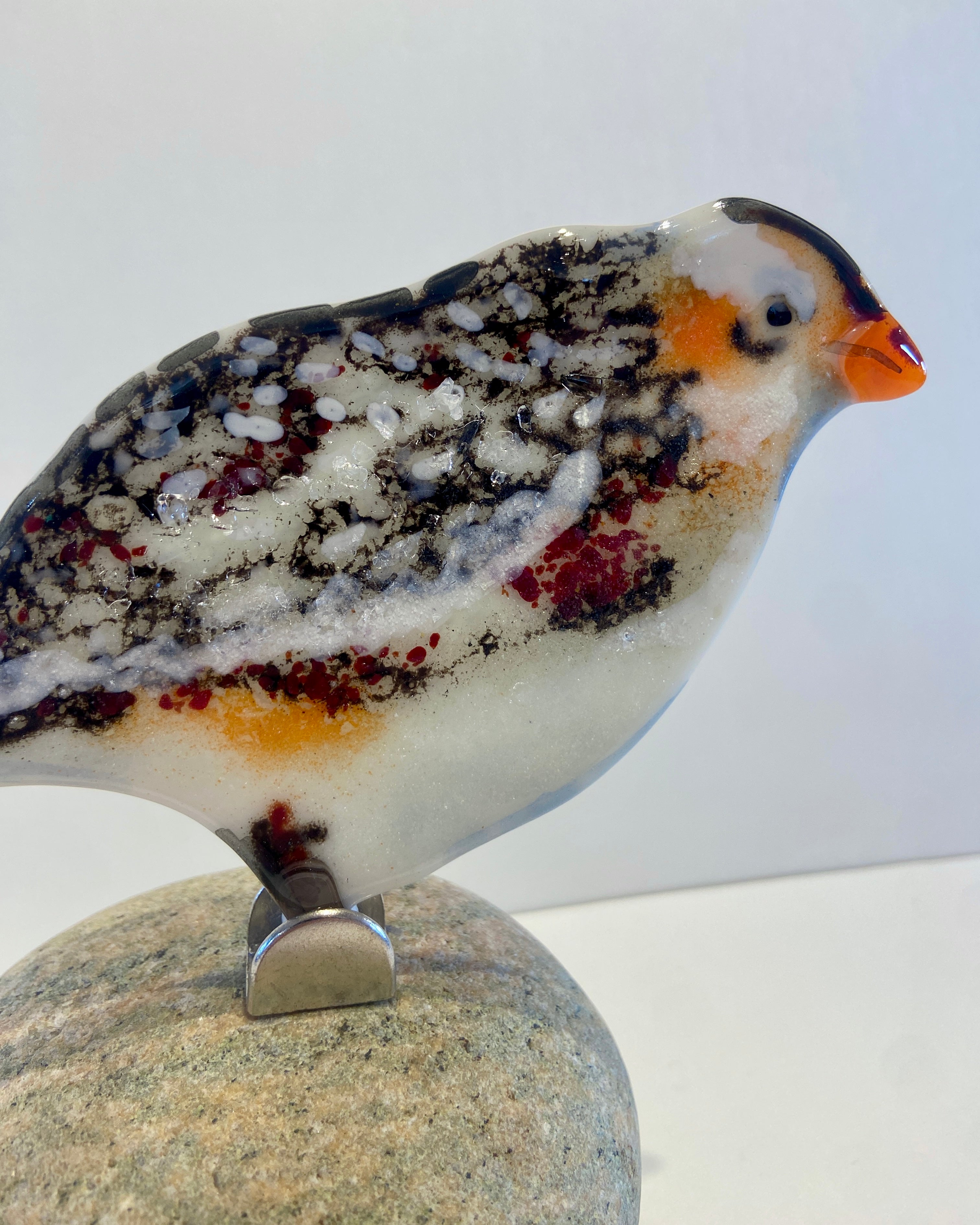 Snowbunting