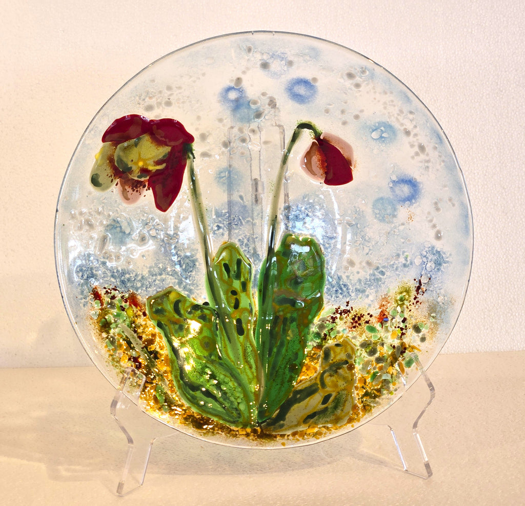 Pitcher Plants