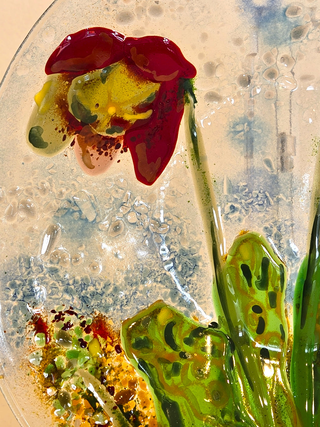 Pitcher Plants