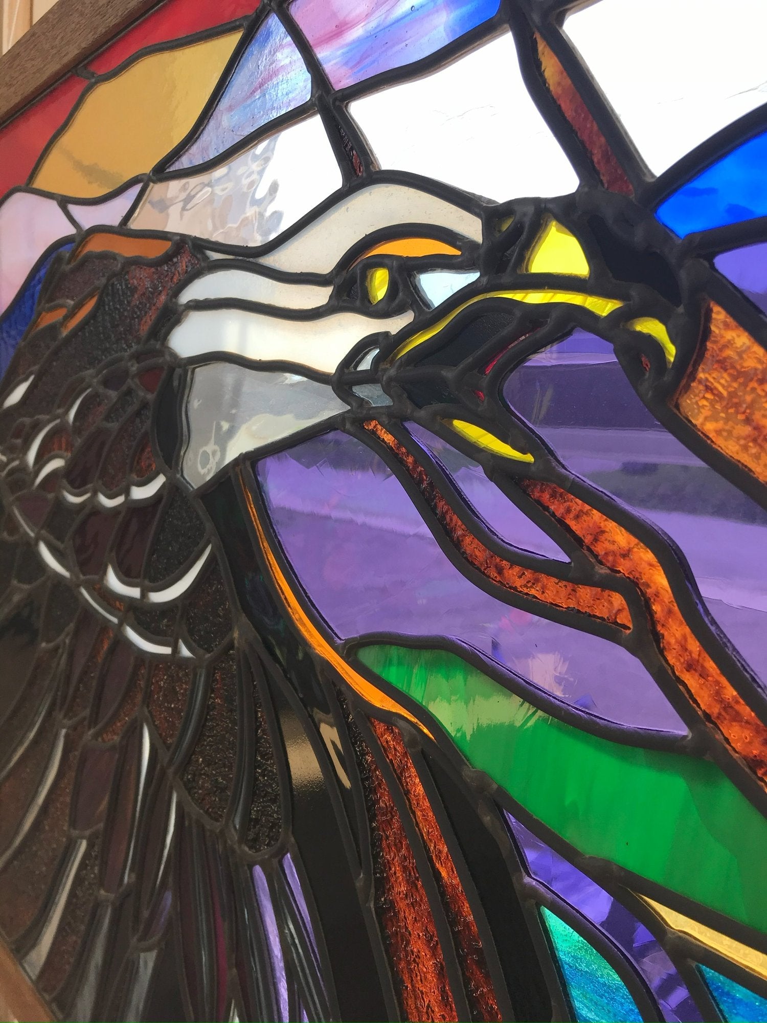 Oyster Bay Bald Eagle