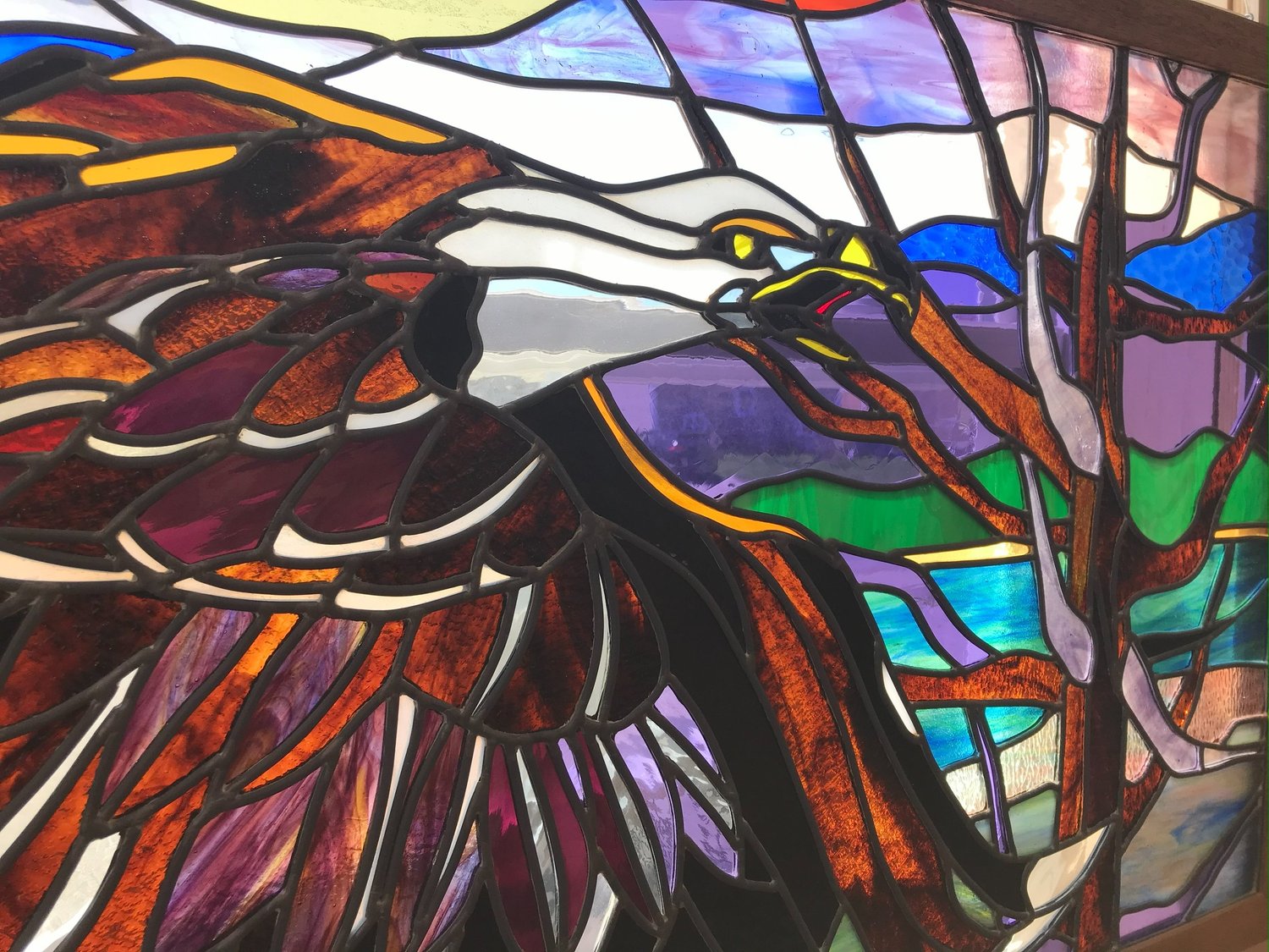 Oyster Bay Bald Eagle